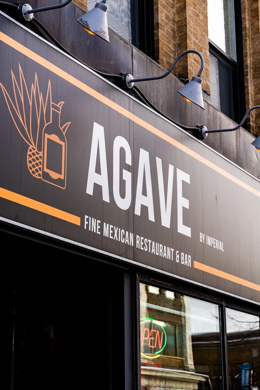 Agave by Imperial