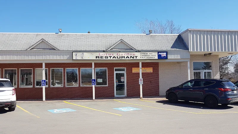 Lotus Garden Restaurant