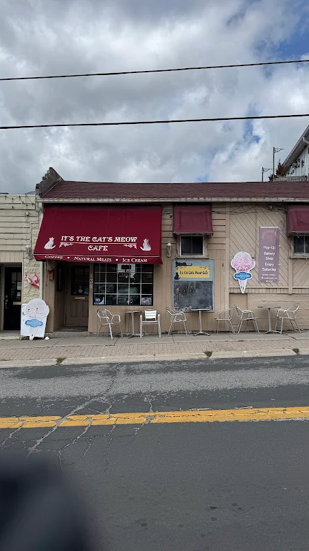 It's The Cat's Meow Cafe