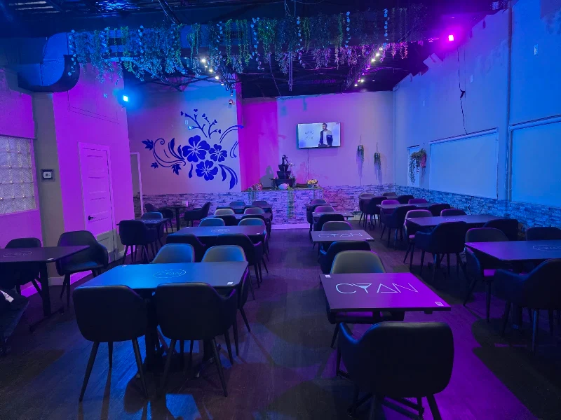 Salon Cyan