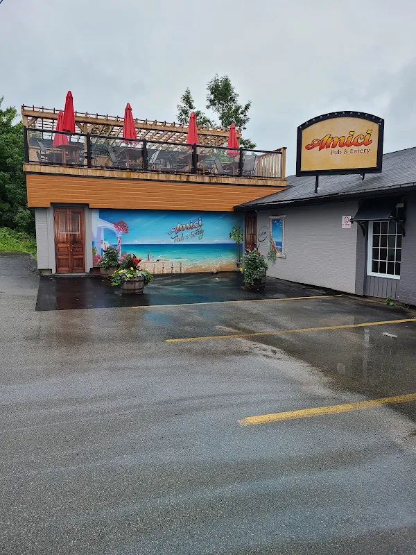 Amici