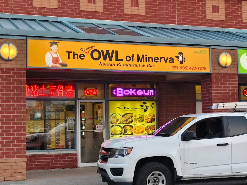 The Owl of Minerva