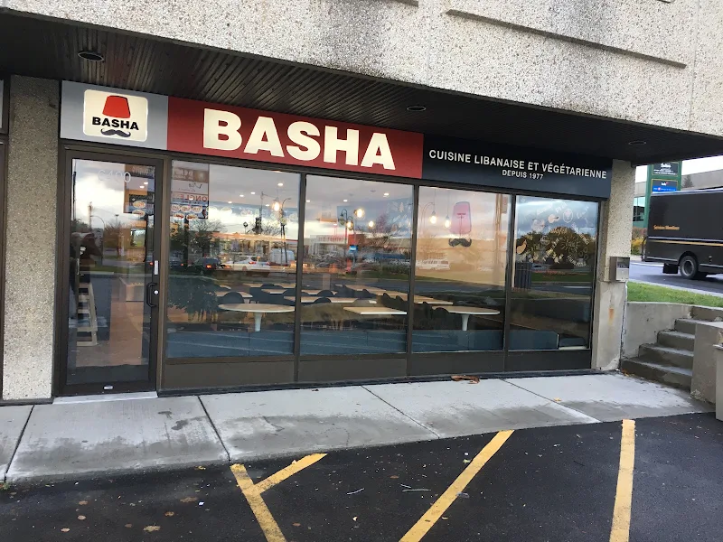 Basha Langelier