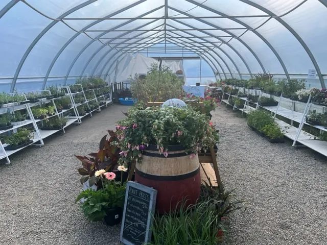 The Pond Country Market