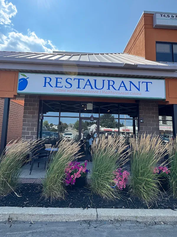 Blue Olive