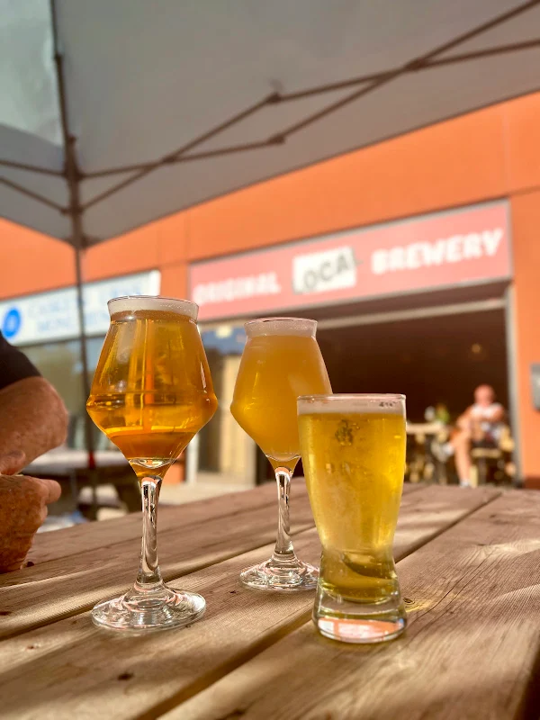 Manor Park Brewing