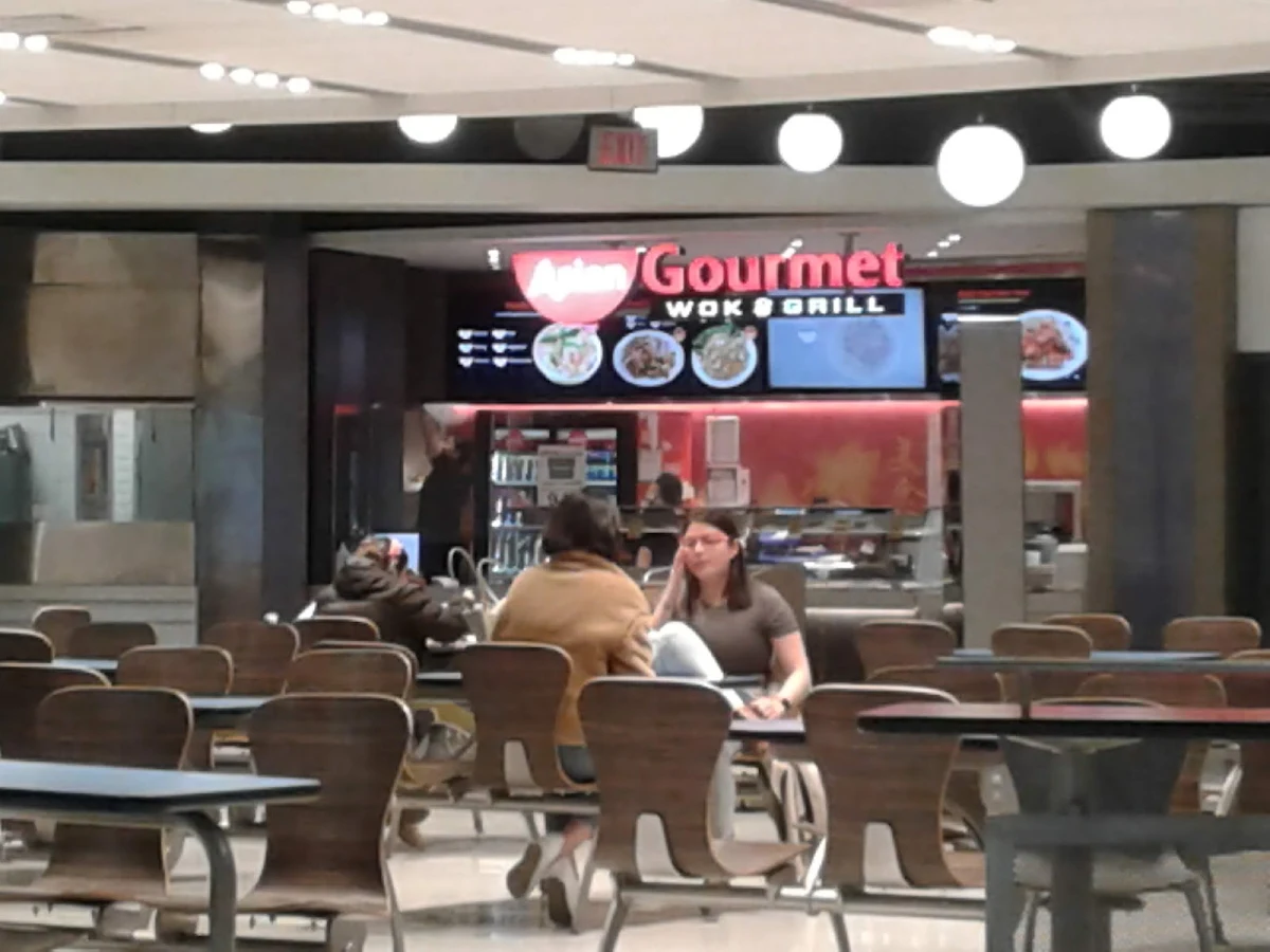 Vibe, Asian Gourmet Wok & Grill