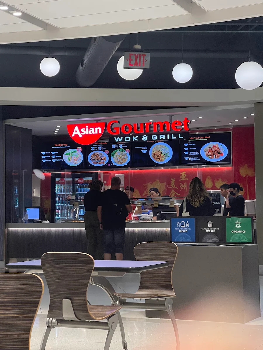 Vibe, Asian Gourmet Wok & Grill