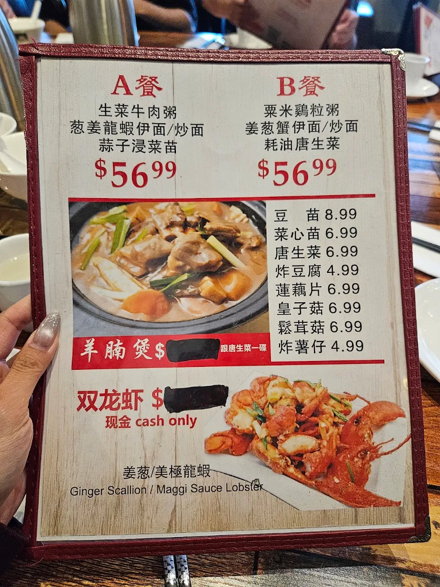 Menu, New Fusion Chinese Restaurant
