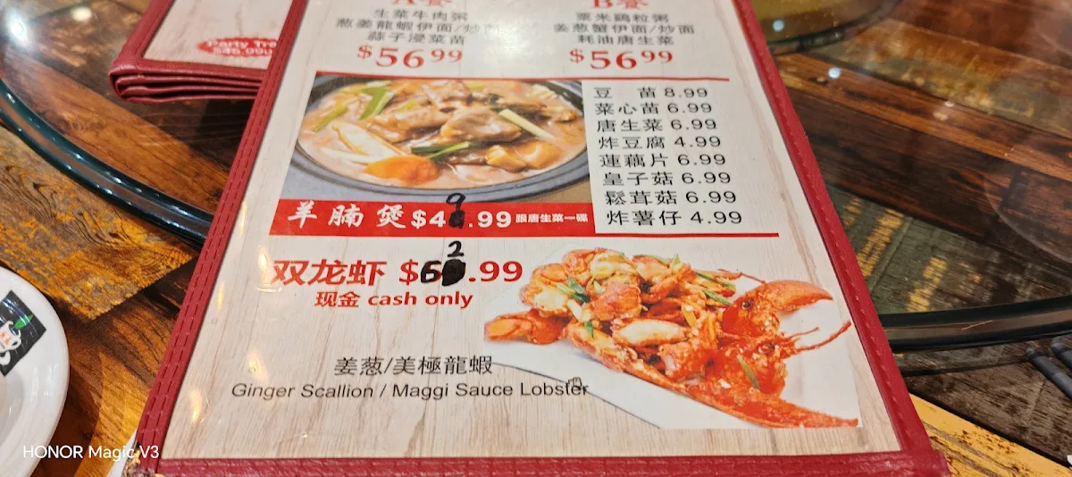 Menu, New Fusion Chinese Restaurant