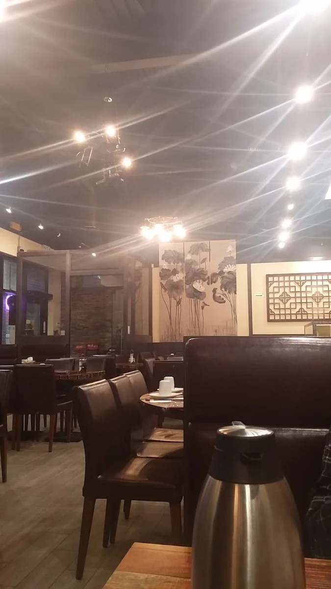 Vibe, New Fusion Chinese Restaurant