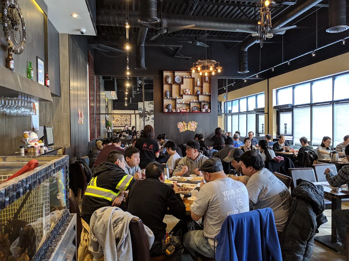 Vibe, New Fusion Chinese Restaurant