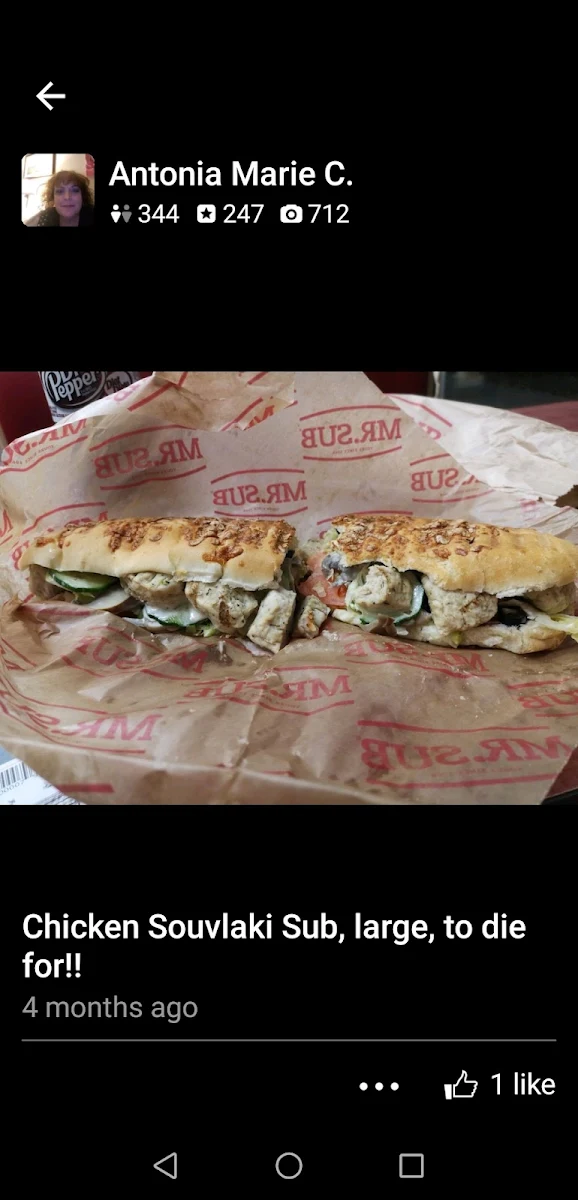 Menu, MR.SUB
