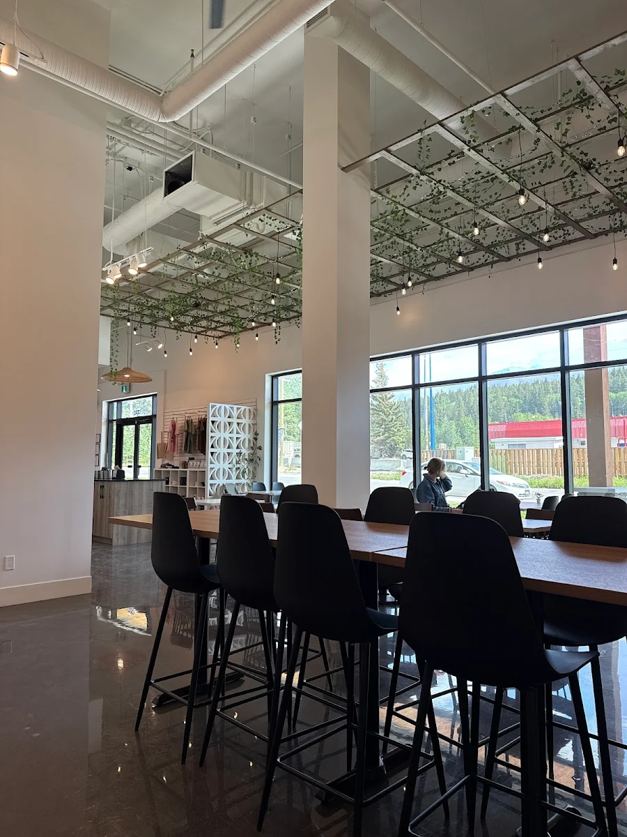 Vibe, Eclipse Coffee Roasters