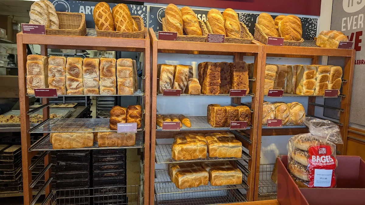 Vibe, COBS Bread
