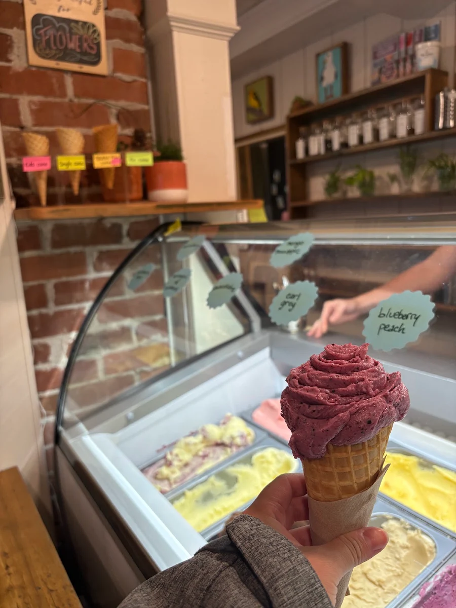 Vibe, Blue Spruce Ice Cream