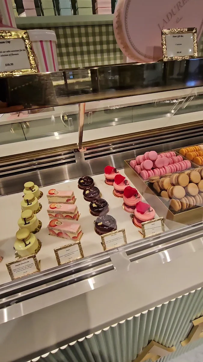 Vibe, LADURÉE Toronto - Yorkville Café