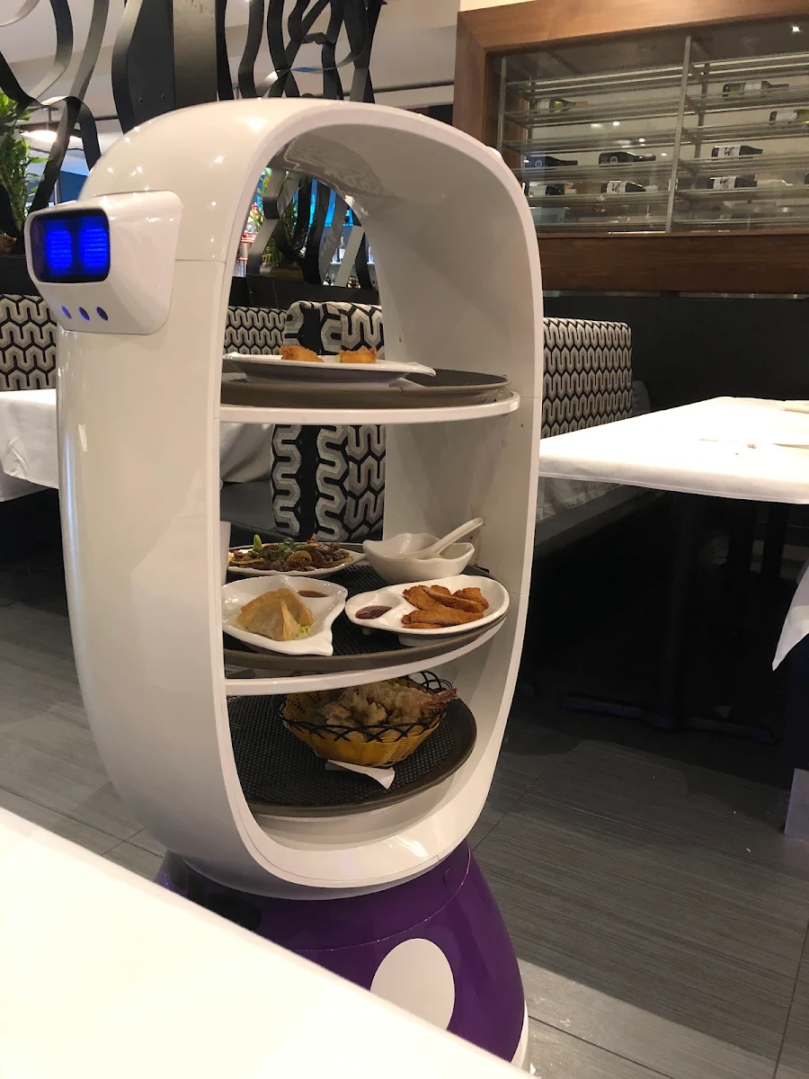 Vibe, ROBO SUSHI