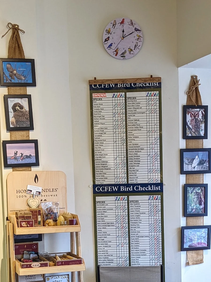 Menu, Birds & Beans Café