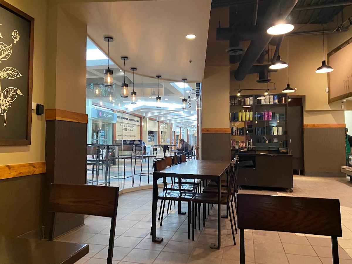 Vibe, Starbucks Coffee Company