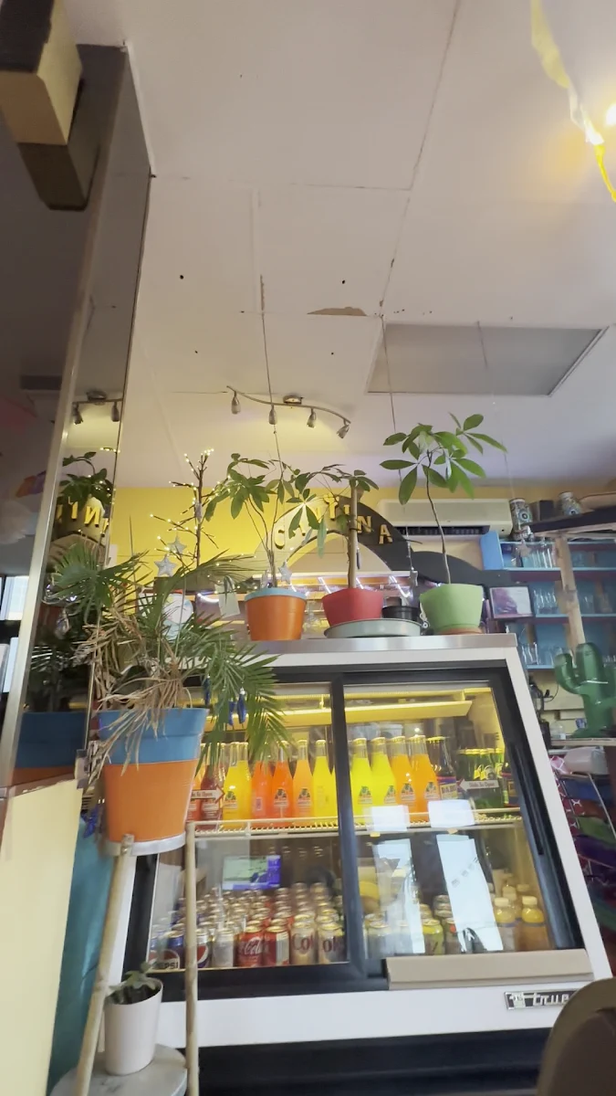 Vibe, La Casa Mexicana