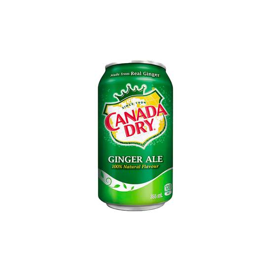 Ginger Ale (Canette)