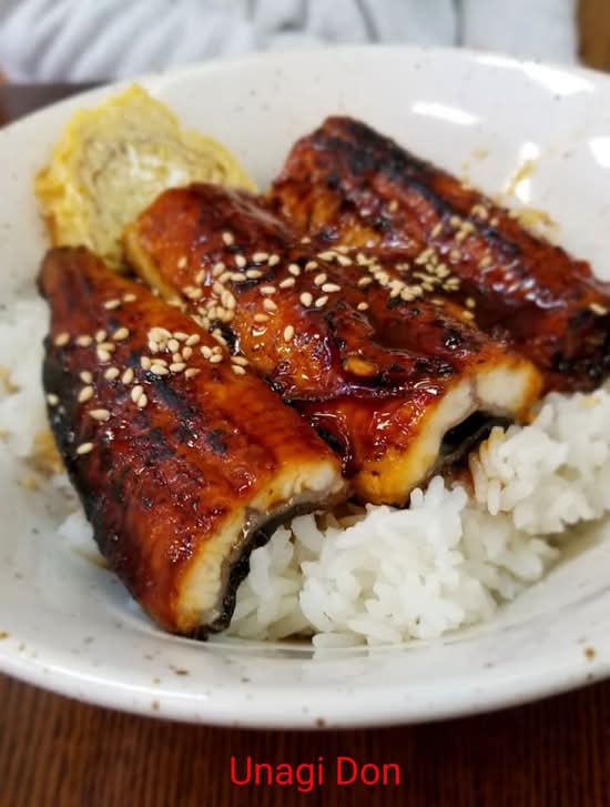Unagi Don