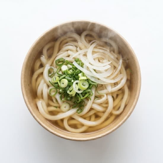 Plain Udon