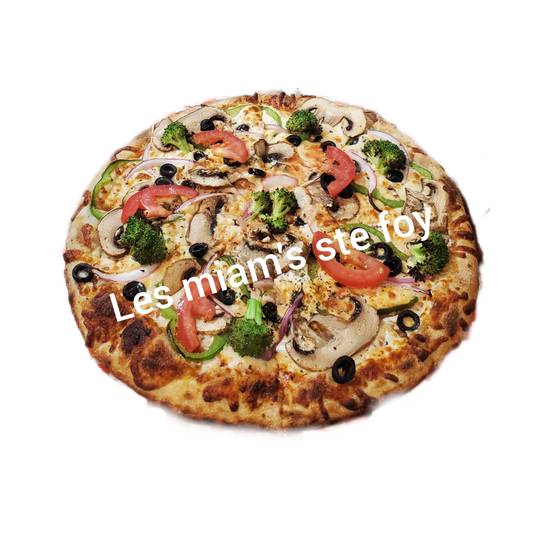 Pizza Végétarienne / Vegetarian Pizza