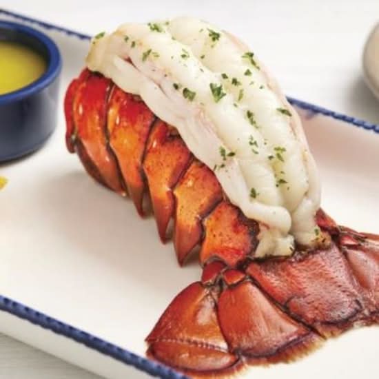 Classic Maritime Lobster Tail