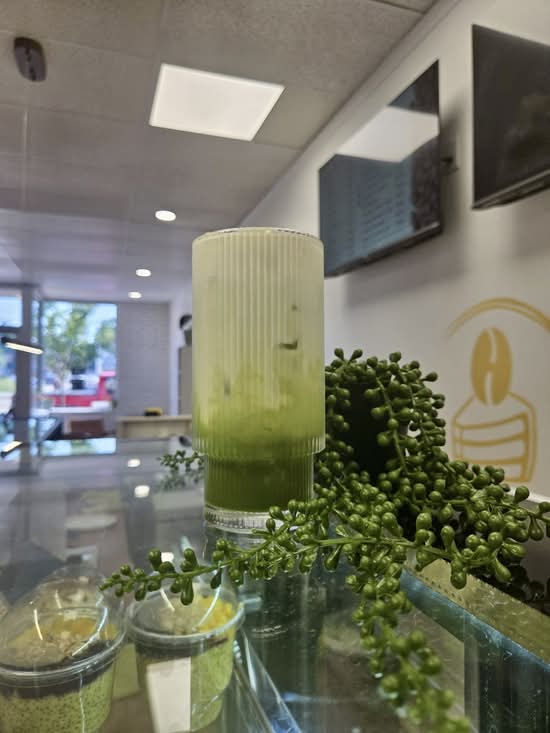 Iced Matcha Latte