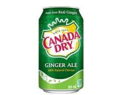 Ginger Ale (355 ml)