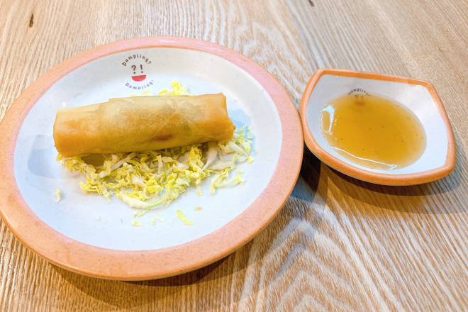 Vegetarian Spring Roll