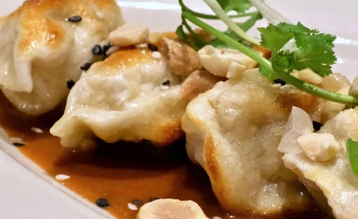Dumplings aux poulet et légumes / Chicken and Vegetable Dumplings