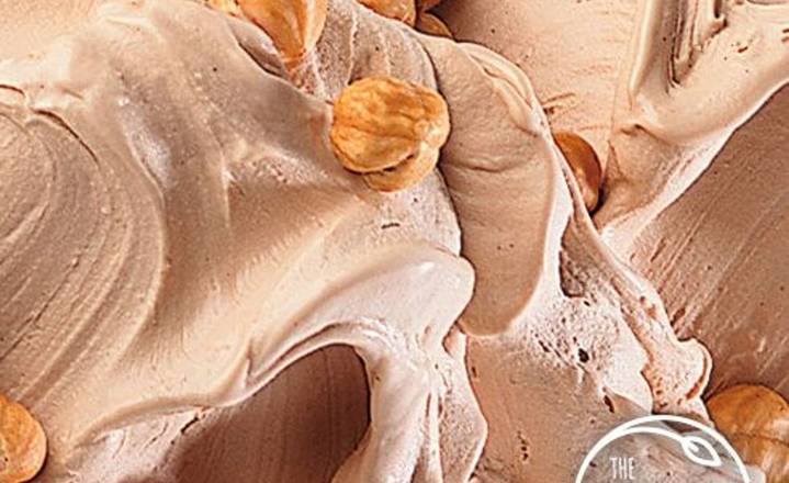 Noisette / Hazelnut Gelato