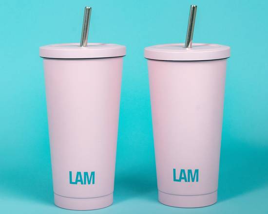Pink Vacuum Insulated Tumbler With Straw