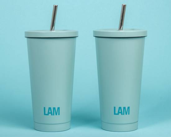 Blue Insulated Tumbler with Straw