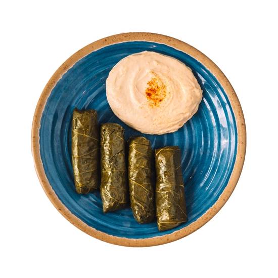 Stuffed Grape Leaves & Hommus