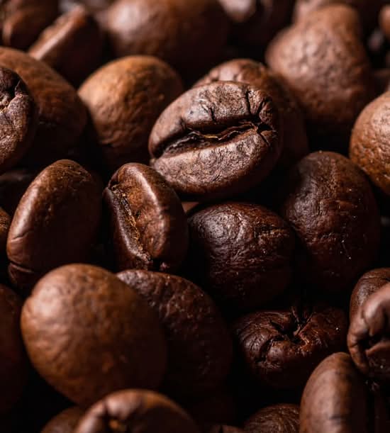 Blue Parrot House Blend | 2LB Beans
