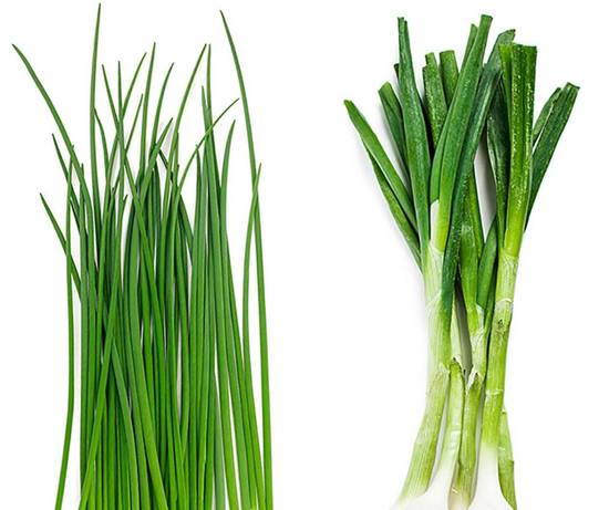 Green Onion