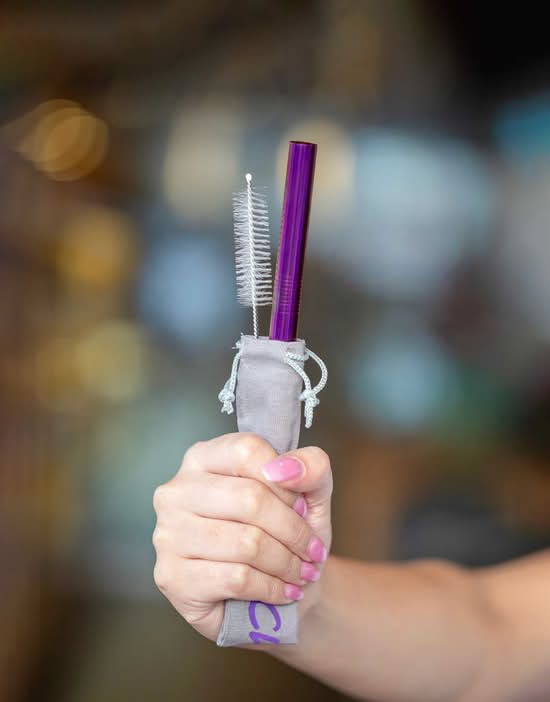 Stainless Steel Straw (Twilight)