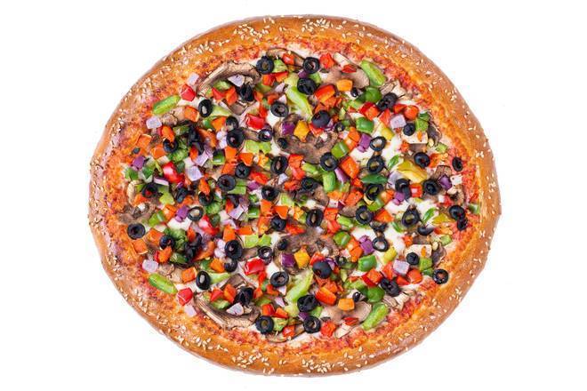 Mixed Veggie Pizza