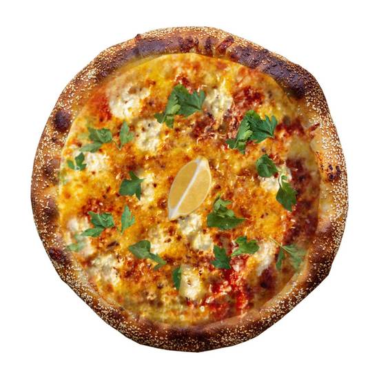 Open Sesame (14")