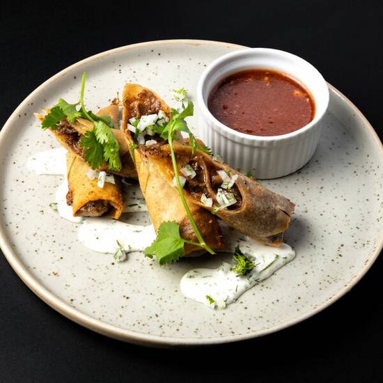 Birria Spring Rolls