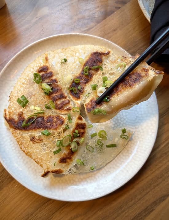 Vegetable Gyoza