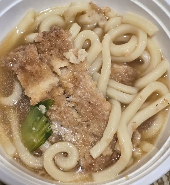 Tonkatsu Udon Soup