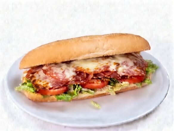 12" Salami & Cheese Sub