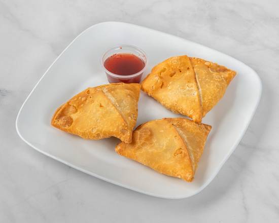 Chicken Samosa