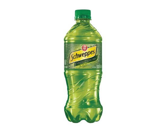 Ginger Ale (591 ml)