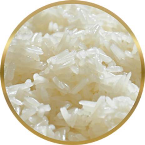 Sticky Rice
